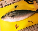 いなだの捌き方 Sally流作り方3写真
