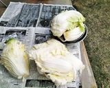 私好みの白菜漬け作り方3写真