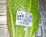 ロメインレタスの簡単オーブンチーズ焼き作り方1写真