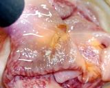 黒毛和牛のリブロースで贅沢なお茶漬け作り方11写真