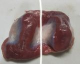 鳥屋さん直伝 ずり(砂肝)の下処理作り方2写真