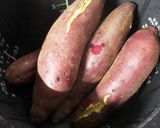 超かんたん！炊飯器で焼き芋作り方3写真