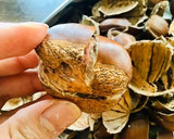 甘栗並みに甘い！トースターで焼き栗♡作り方10写真
