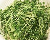 【至極のお通し】激ウマ豆苗のナムル！！作り方1写真