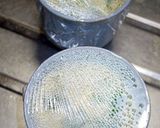蒸し器なんてねえよ!レンジで簡単茶碗し!作り方17写真