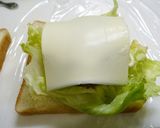 簡単！ごろごろヒレバーグサンド作り方2写真