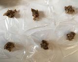 基本の味噌玉作り方6写真