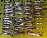 カタクチイワシ唐揚げ作り方1写真