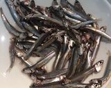 カタクチイワシ唐揚げ作り方2写真