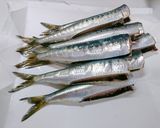 【梅でうめぇ】イワシの梅肉煮作り方4写真