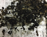 節水&シンクが汚れにくい牛蒡の皮のむき方作り方5写真