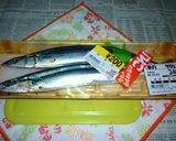 ようやく～新物汐秋刀魚の塩焼き作り方6写真