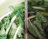 大根葉の簡単した処理(レンジ調理)作り方4写真