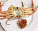 せいこ蟹の食べ方（越前蟹のメス）作り方7写真