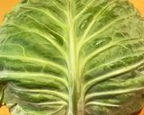 水煮大豆が美味い！イカのトマト煮作り方9写真
