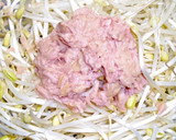 レンジで！豆もやしとシーチキンの和え物作り方3写真