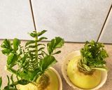 大根の葉を育て食べましょう作り方2写真