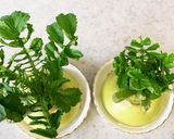 大根の葉を育て食べましょう作り方4写真