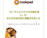 ピーマンとパプリカの焼き浸し作り方13写真