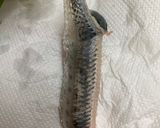 簡単おつまみ☆新鮮イワシのお刺身作り方3写真