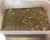 血液サラサラ、ドクダミパンケーキ作り方1写真