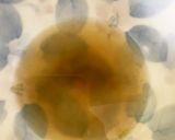 白だしなし柿の浅漬け作り方1写真