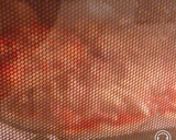HBで手作り生地、エビマヨなど3種のピザ作り方27写真
