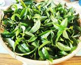 自宅で簡単‼お茶の葉からお茶の作り方作り方1写真