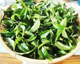 自宅で簡単‼お茶の葉からお茶の作り方作り方1写真