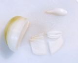 【離乳食】優しい味の親子丼作り方2写真