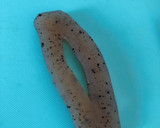 簡単！ほったらかし手綱こんにゃくの煮物作り方1写真