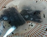 乾燥ひじきの戻し方作り方3写真