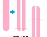 円形／方形ギョニソ・エッグ作り方1写真