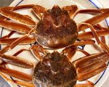 解禁！北陸名物・茹でた香箱ガニ♪酢の物作り方1写真