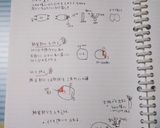 野菜蝶々レッスン編作り方8写真