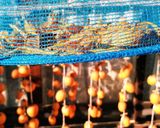 干し柿作り作り方8写真