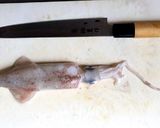 自家製イカの一夜干し焼きと燻製作り方1写真