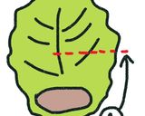 基本のロールキャベツ作り方6写真