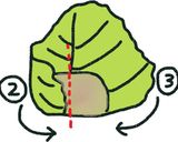 基本のロールキャベツ作り方7写真