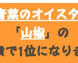 山椒香る豚肉と青菜のオイスターソース炒め作り方5写真