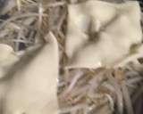 簡単　もやしの塩麹炒めチーズ乗せ！作り方1写真