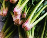 糖質オフのほうれん草の胡麻和え作り方1写真