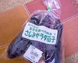 サラダ茄子の☆サラダ☆作り方1写真