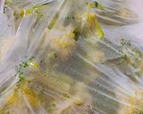 サバカレーソテー★ブロッコリーきのこ添え作り方2写真