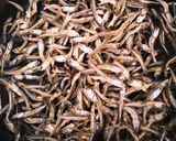 くるみと小魚の佃煮作り方1写真