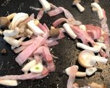 もちふわっ☆かぶ餅作り方7写真