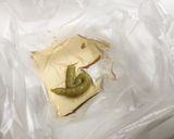 半日置くだけ！山芋のわさび漬け作り方1写真