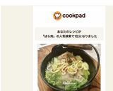 白菜バラ肉煮込みうどん➕塩旨ちょい辛味作り方10写真