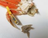 せいこ蟹の甲羅盛り作り方7写真