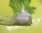 ロール白菜作り方15写真